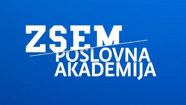 ZSEM PA mali lijevi novi